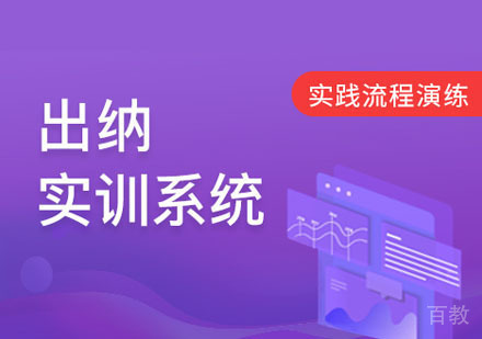 出纳实践流程业务解析培训网课