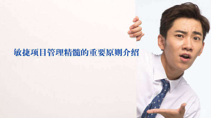 敏捷项目管理精髓的重要原则介绍 