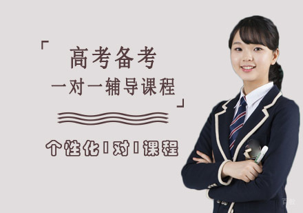 高考备考一对一辅导课程