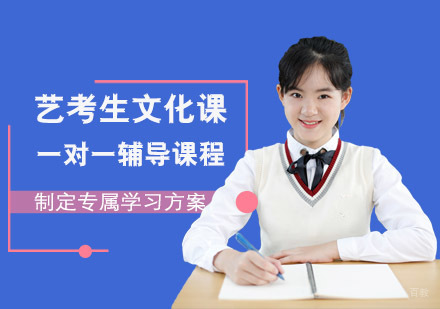 艺考生文化课一对一辅导课程