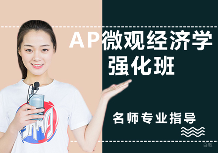 AP微观经济学强化班