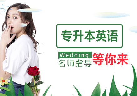 专升本英语一对一培训课程