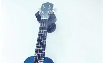 上海羽翼国际艺术学校吉他