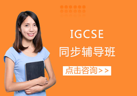 IGCSE同步辅导班