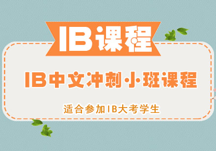 IB中文冲刺小班课程