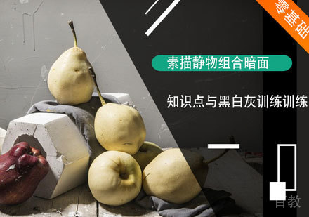 美术静物组合讲解课程
