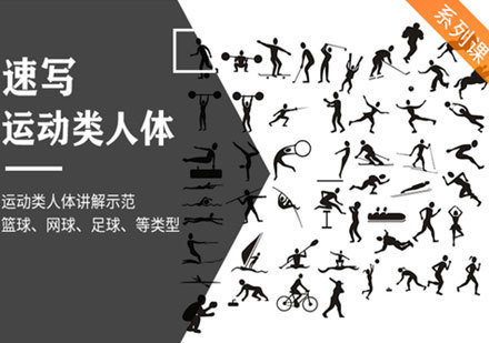 人体画人物动态讲解课程
