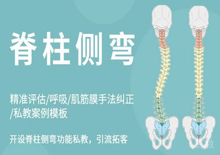 瑜伽脊柱侧弯理疗课程