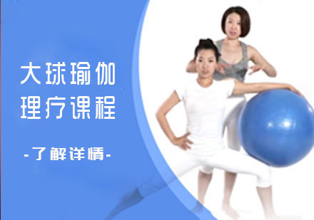 大球瑜伽理疗课程