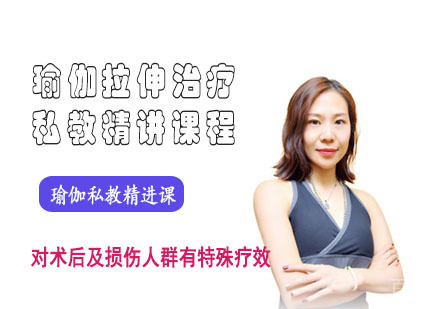 瑜伽拉伸治疗私教精讲课程