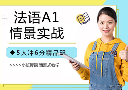 法语A1情景实战