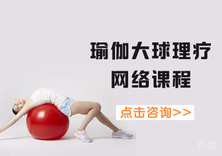 瑜伽大球理疗网络课程