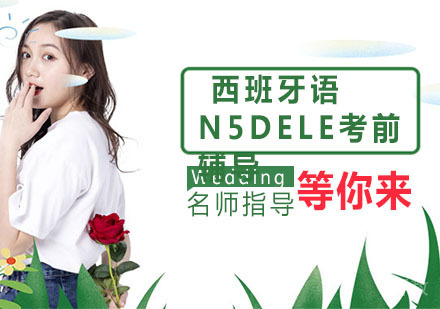 西班牙语N5DELE考前辅导