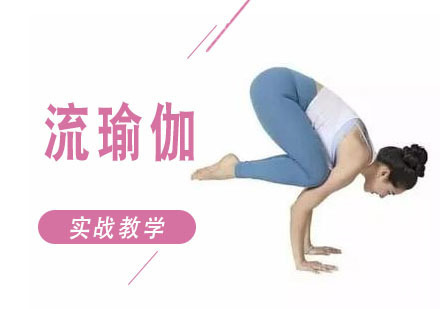 流瑜伽培训课程