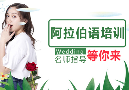阿拉伯语培训