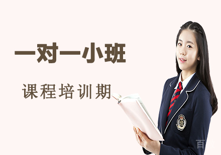深圳卓越培优一对一小班课程培训