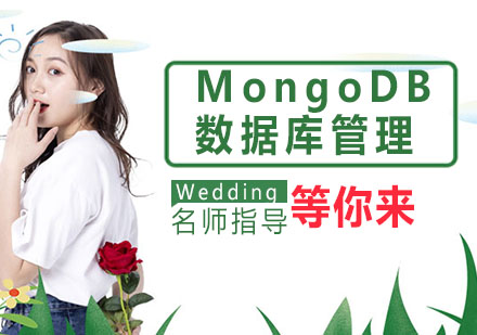 MongoDB数据库管理