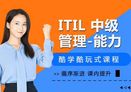 ITIL 中级管理-能力