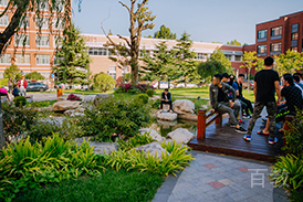 学校环境
