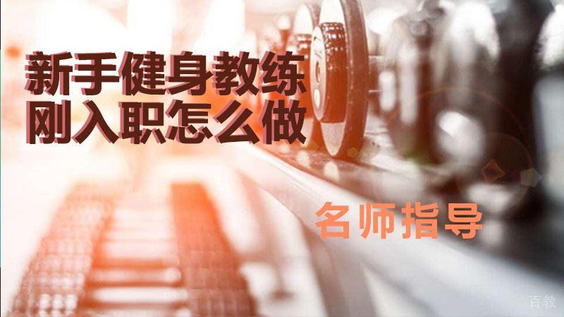 新手健身教练刚入职怎么做 