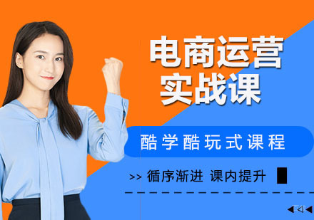 电商运营实战课