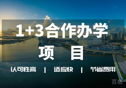 1+3国内合作办学项目