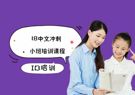 IB中文冲刺小班培训课程