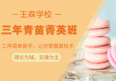 三年青苗菁英班