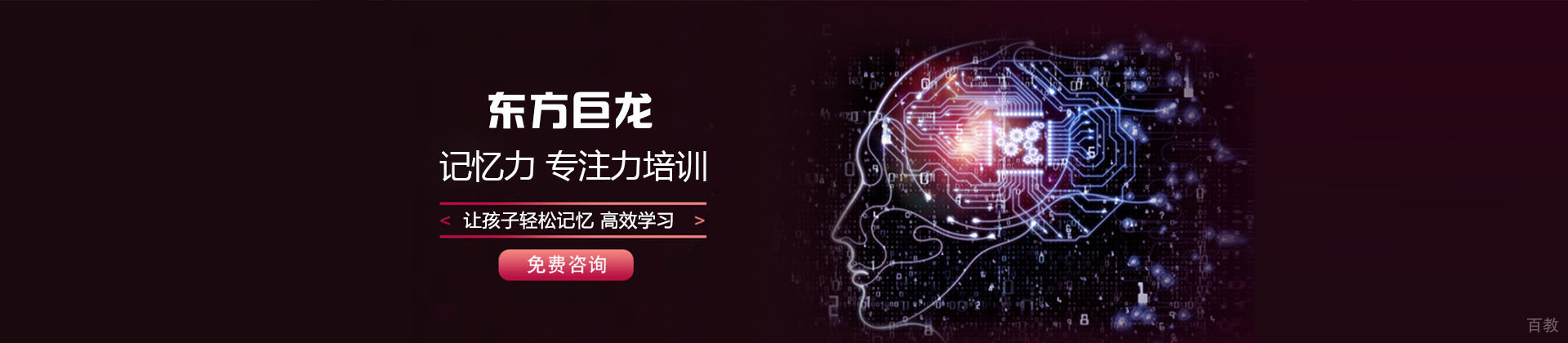 武汉东方巨龙教育