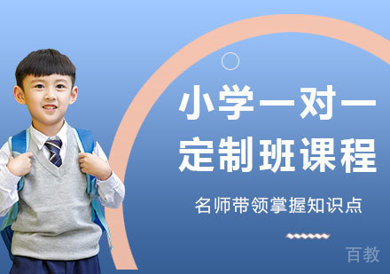 北京小学一对一定制班课程培训