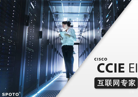 CCIE EI 思科企业基础架构