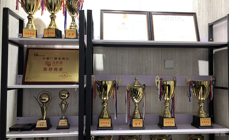 合肥婕美化妆培训学校的荣誉奖杯