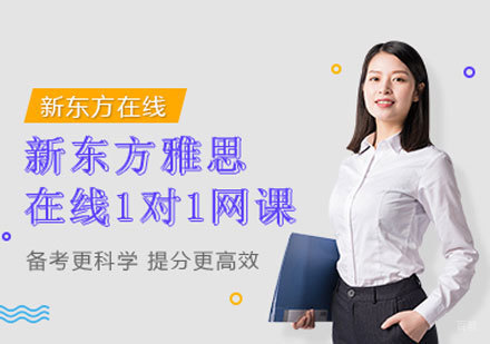 雅思一对一培训