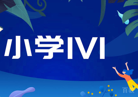 小学VIP一对一辅导课程