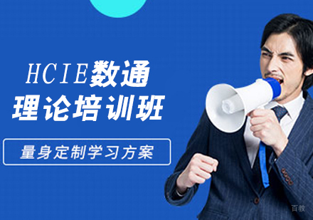 HCIE数通理论培训班
