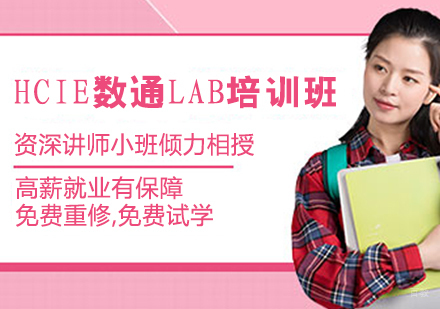 HCIE数通LAB培训班