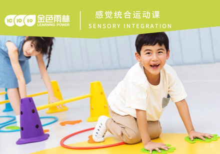 感觉运动统合课程