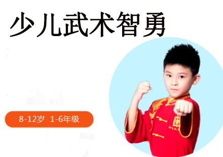 少儿武术智勇课程
