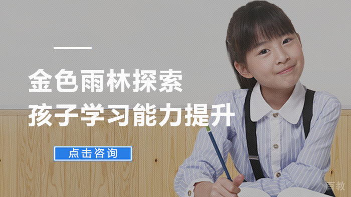 金色雨林探索孩子学习能力提升 