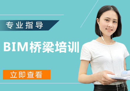 BIM 桥梁培训