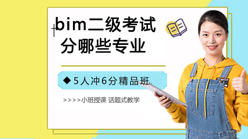 BIM二级考试分哪些专业 