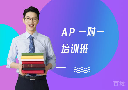 AP一对一培训班