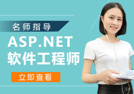ASP.NET软件工程师