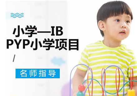 小学—IB PYP小学项目