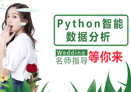 Python人工智能+数据分析