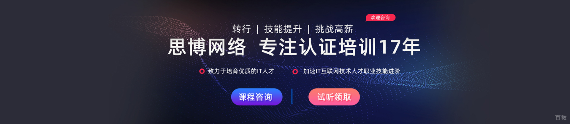 上海思博IT在线