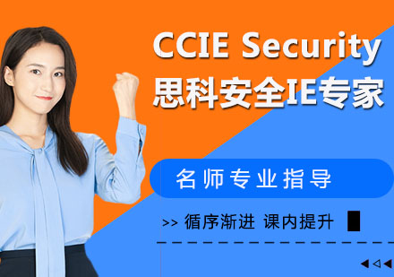 CCIE Security Lab 思科安全IE专家