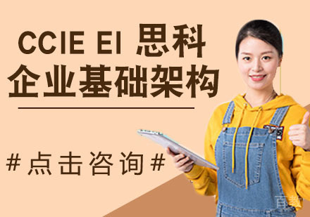 CCIE EI 思科企业基础架构