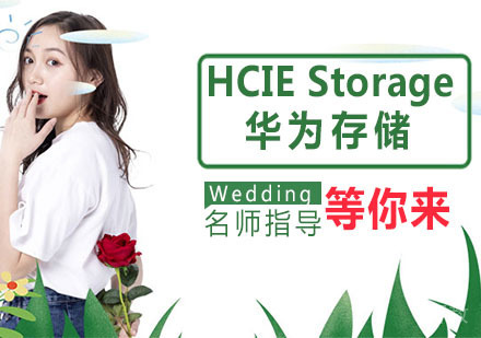 HCIE Storage 华为存储