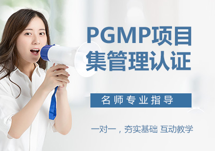 PgMP项目集管理认证
